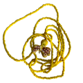 Pulpiño amarillo